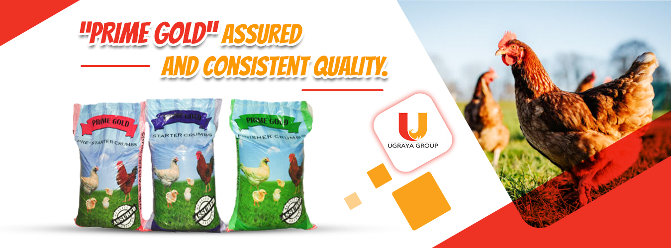 Ugrayagroup – Ugraya Highly Reputed Group In Feed Manufacturing Industry