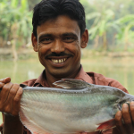 Summer Fish Feeding Guide with Nutritech Floating Feed